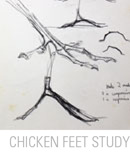 1995 Chicken Feet Study